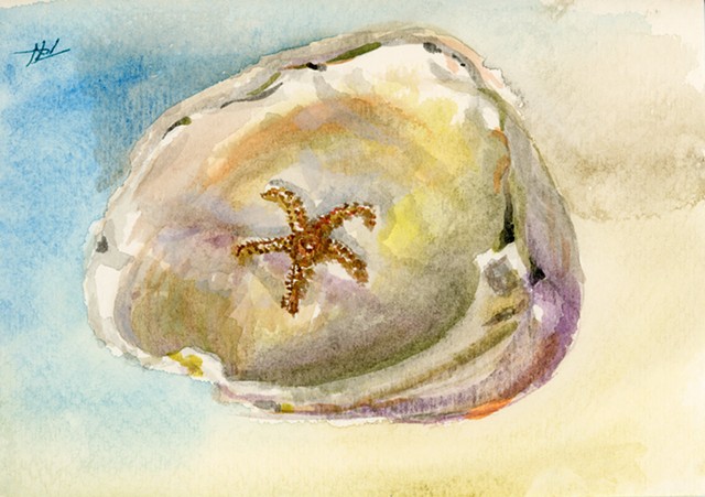 Starfish in Clam shell