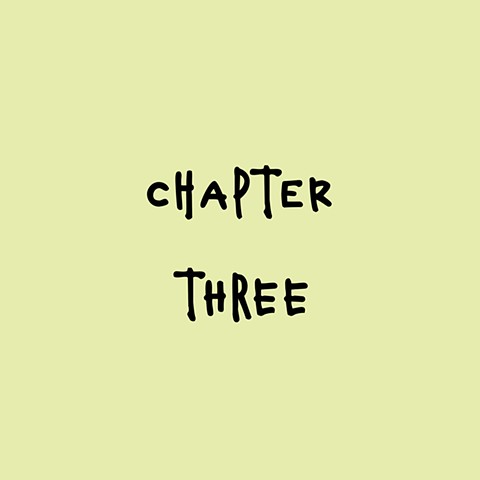 CHAPTER THREE