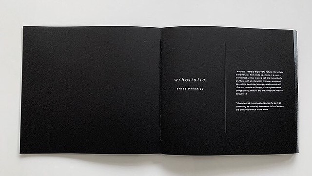 w/ holistic - Opening Page
