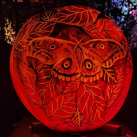 JACK-O-LANTERNS