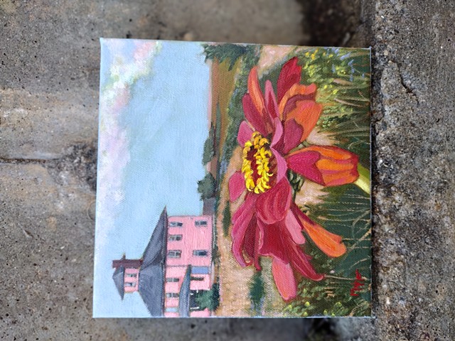 The Spiteful Flower at the Pink House