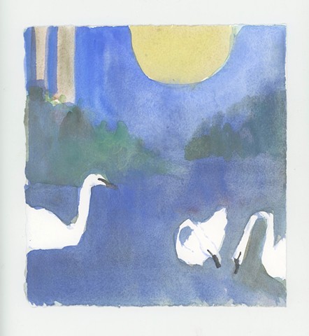 Swans at Dusk #2