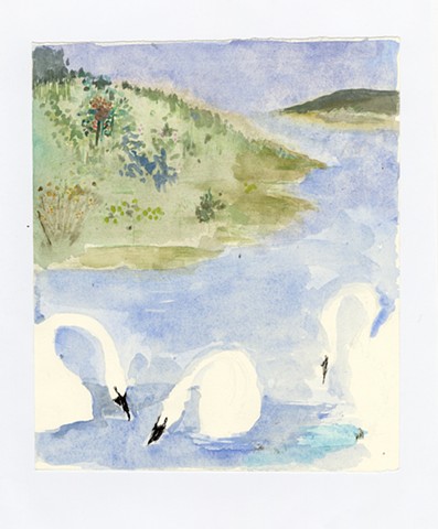 Boy and Swans #6