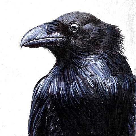 Raven Portrait