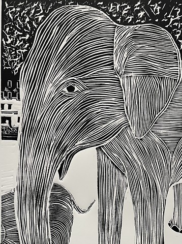 Boston Elephant