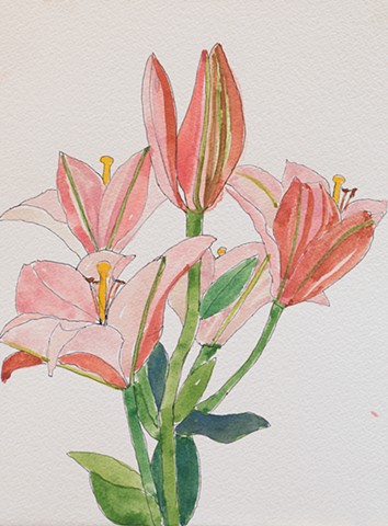 Lilies (By Claire)