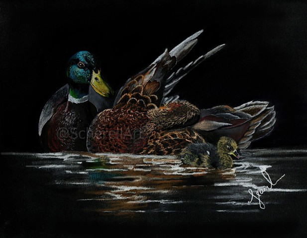 "Duck Family"