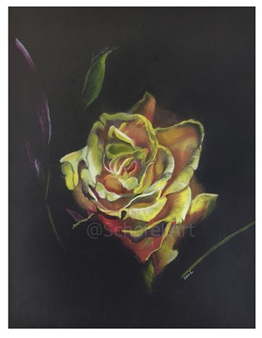 "Yellow Rose"