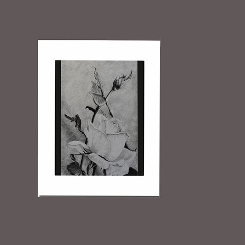 Buy 8x10 Print