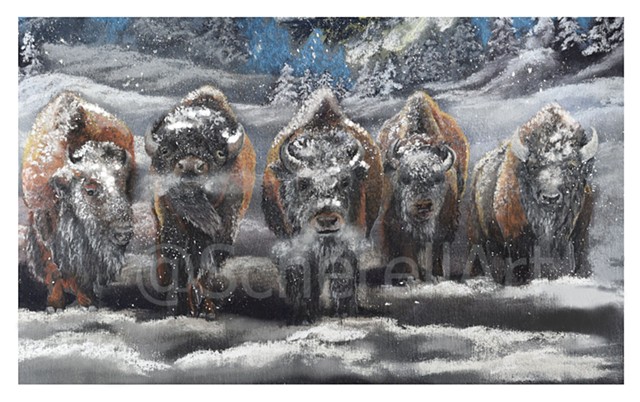 "Buffalo in Winter"