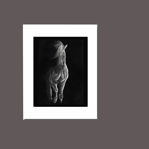 Buy Print 8x10