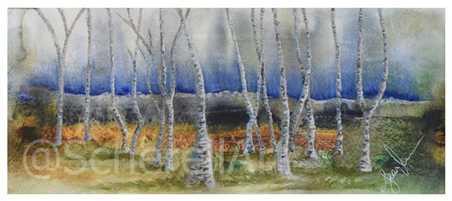"Birchwood Forest"