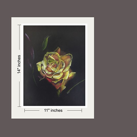 Buy 11x14 Print