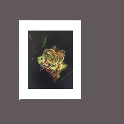 Buy Matted 8x10 Print