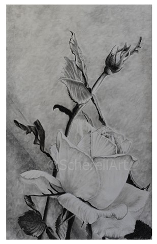 "Graphite Rose"