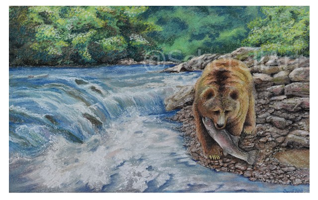 "Salmon Run"