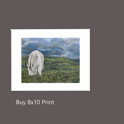 Buy 8x10 Print