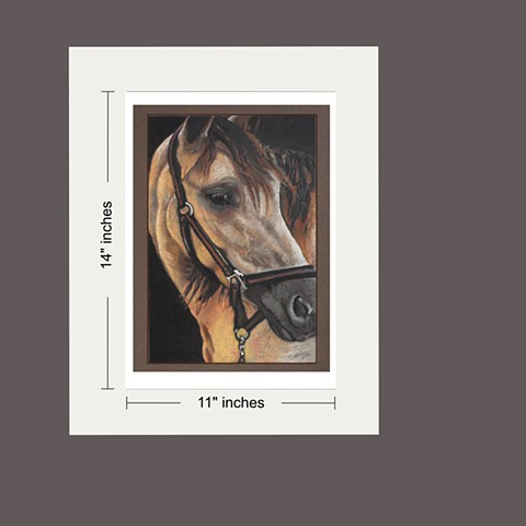 Buy 11x14 Print