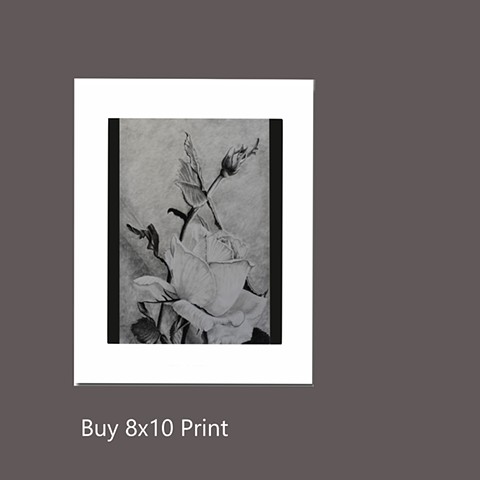 Buy 8x10 Print