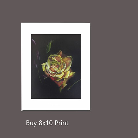 Buy Matted 8x10 Print