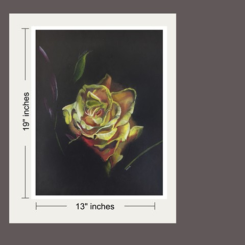 Buy 19x13 Print