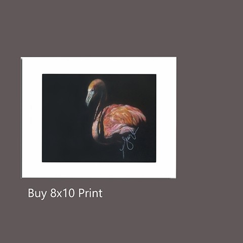 Buy 8x10 Print