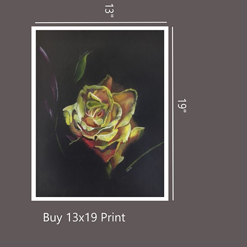 Buy 19x13 Print