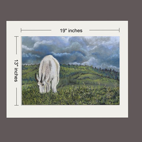 Buy 13x19 Print