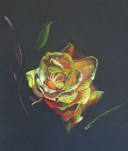 Yellow Rose by Scherell Art