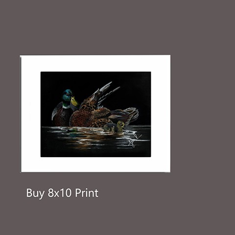 Buy 8x10 Print