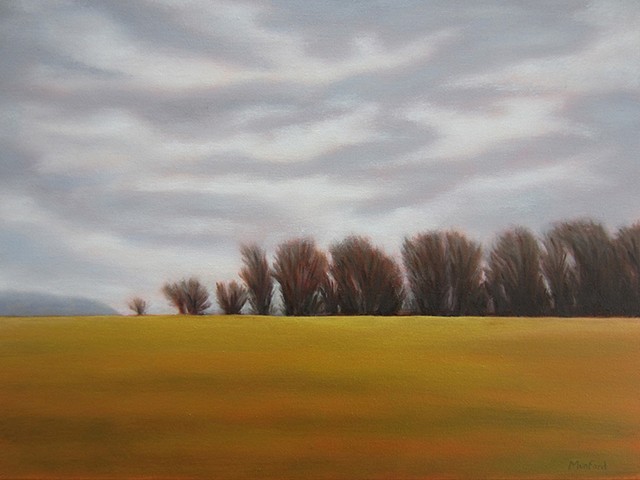Field with Trees (1)