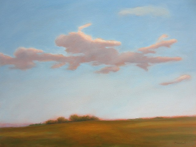 Field (2)