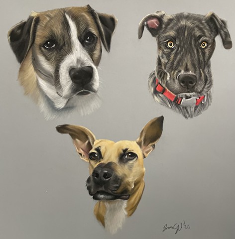 Doc, Donner and Polly