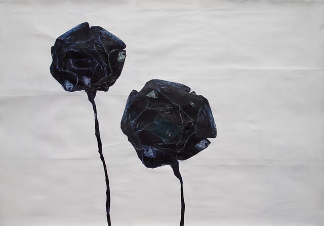 two purply black roses.