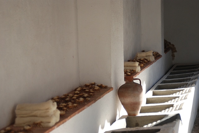 Project Flying Carpet Belalczar, workshop performance at llavaderos (ancient laundry room)
photography: Rosana Camra