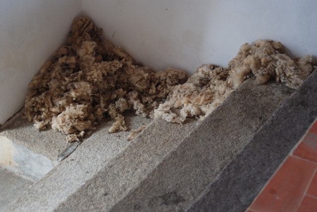 Exhibition Flying Carpet Prayers at El Psito, local unprocessed wool