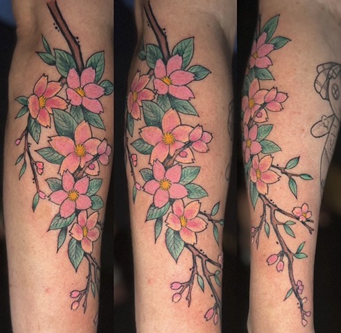 Cherry Blossom Branch