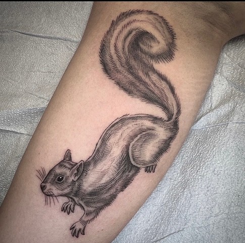 Squirell