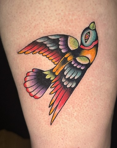 psychadelic sparrow