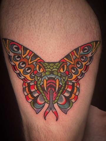 Snakerfly