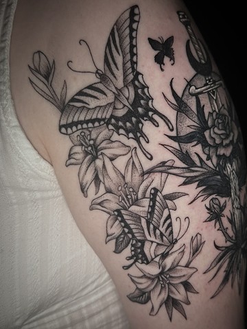 Swallowtail
