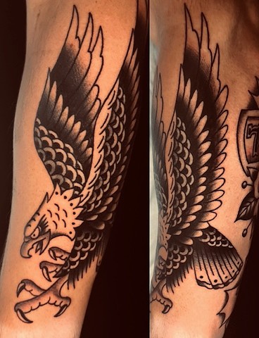 eagle