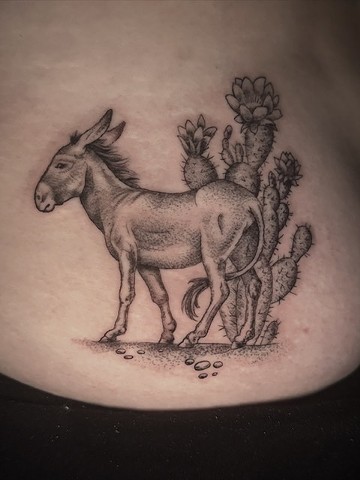 donkey