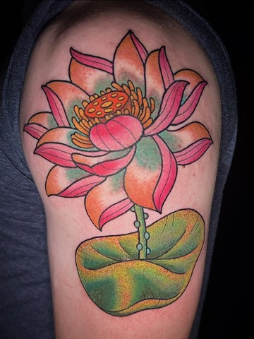 Lotus