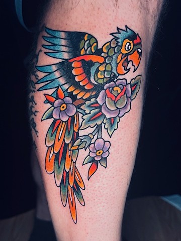 Parrott