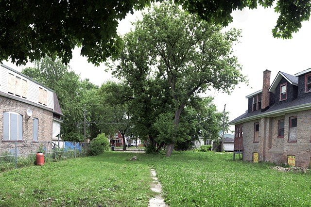 I Grow Chicago Nature Park - Before