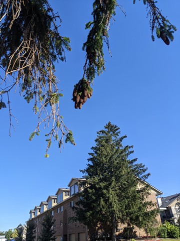 2022, Palos Hills, IL