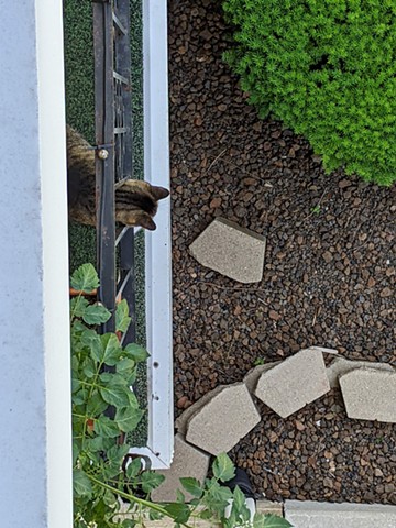 2022, Tucker the Cat