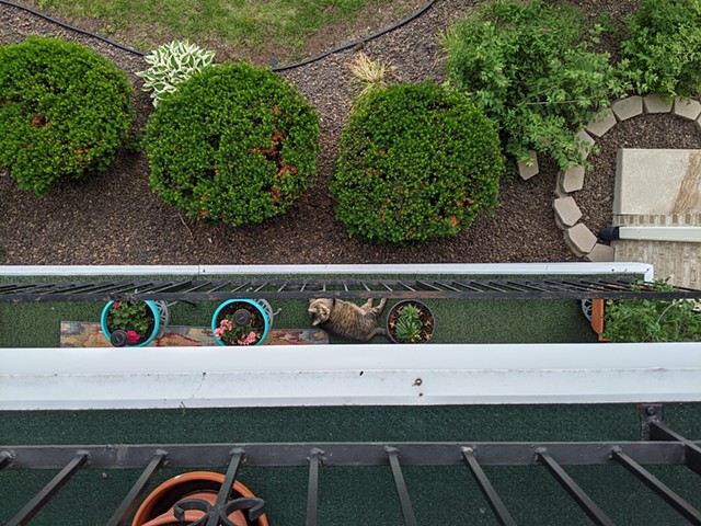 2021, Tucker the Cat