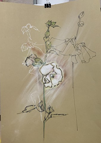 Hollyhocks